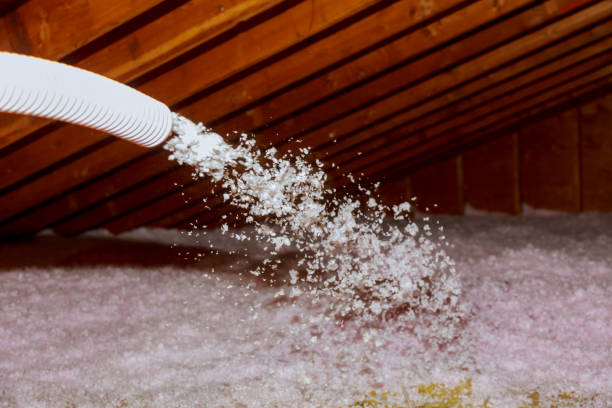 Best Garage Insulation Installation  in Luling, TX