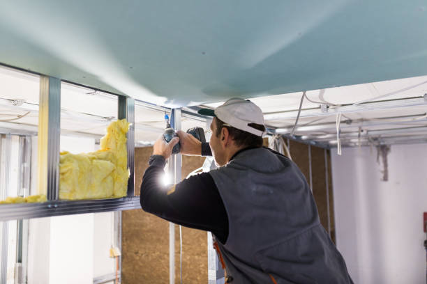 Best Insulation Repair Services  in Luling, TX