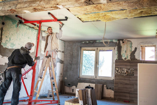 Professional Insulation Contractor in Luling, TX