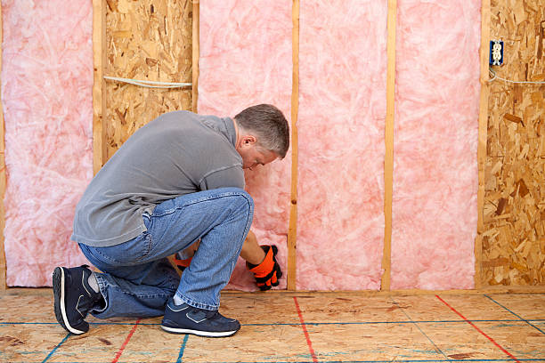 Best Insulation Replacement Services  in Luling, TX