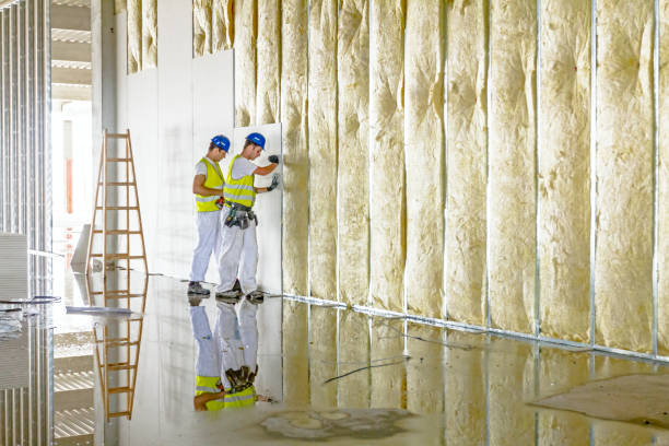 Best Professional Insulation Contractor  in Luling, TX